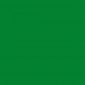 G6050 Montana Gold Greenery EAN4048500285073