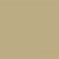 Camouflagespray RAL 1040